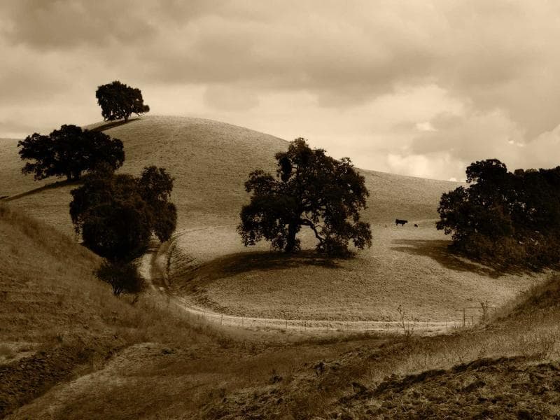 The Psychology of Cybersecurity for Beginners