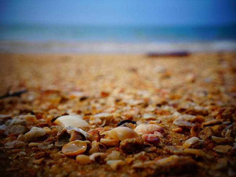 The Rise of AI for Beginners