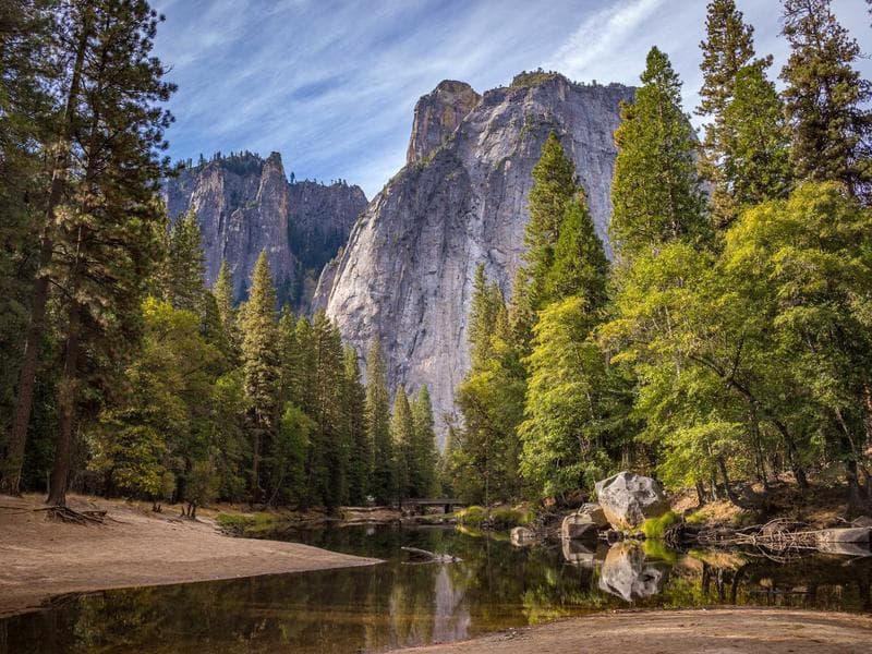 The Rise of Blockchain for Small Business