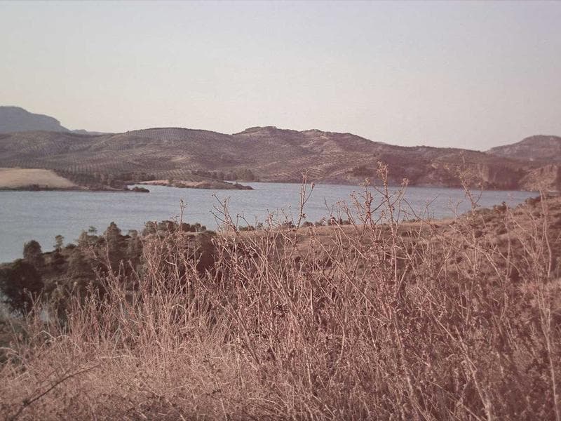 The Rise of Cloud Computing Driven Growth