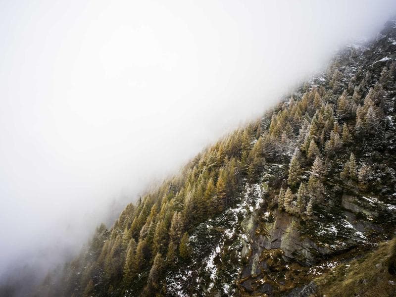 The Rise of Cybersecurity for Experts