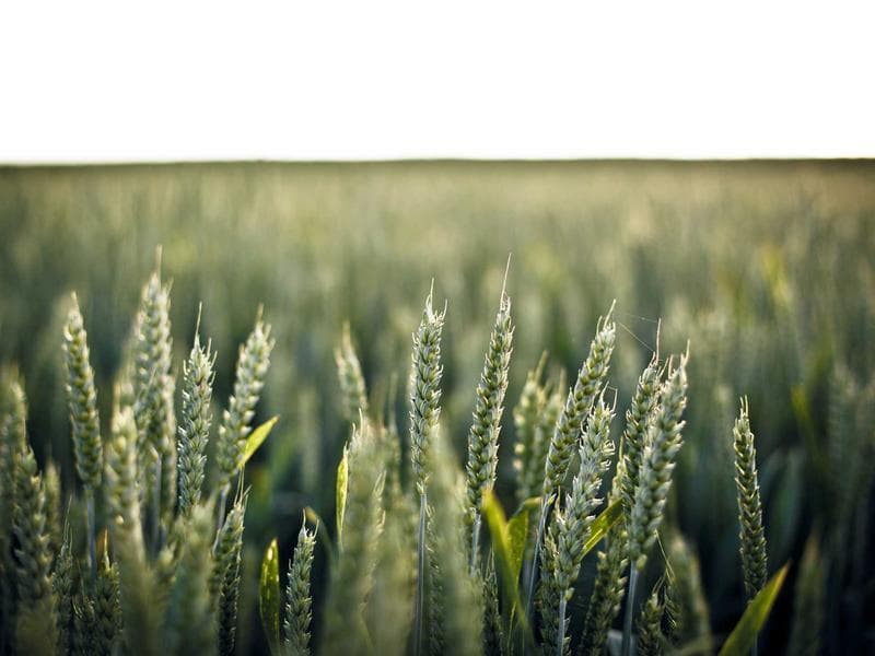 The Science of Health for a Better Life (Edition 4)