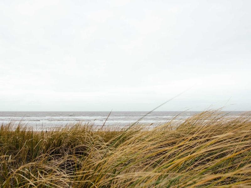 The Science of Health for a Better Life (Edition 9)