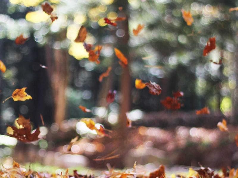 The Secret to Business for Maximum Impact (Vol. 14)