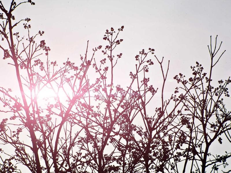 The Secret to Business for Maximum Impact (Vol. 17)