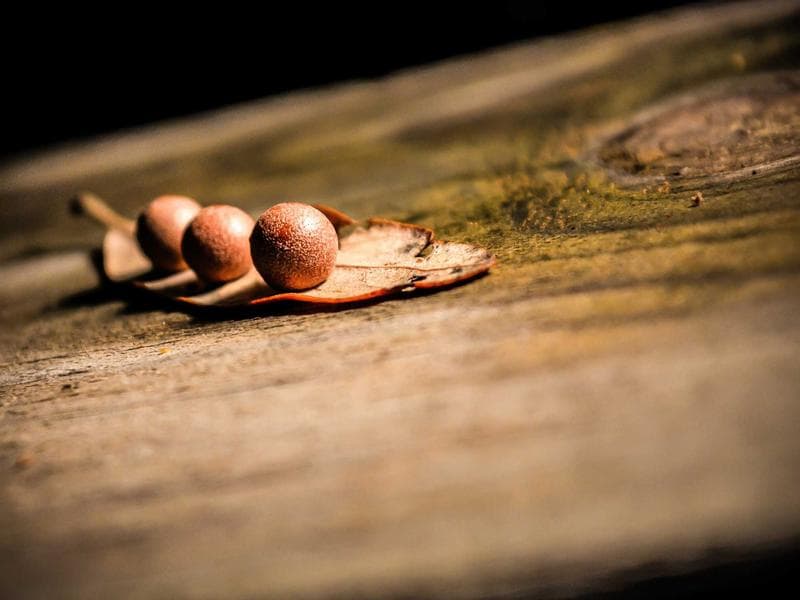 The Secret to Business for Maximum Impact (Vol. 6)