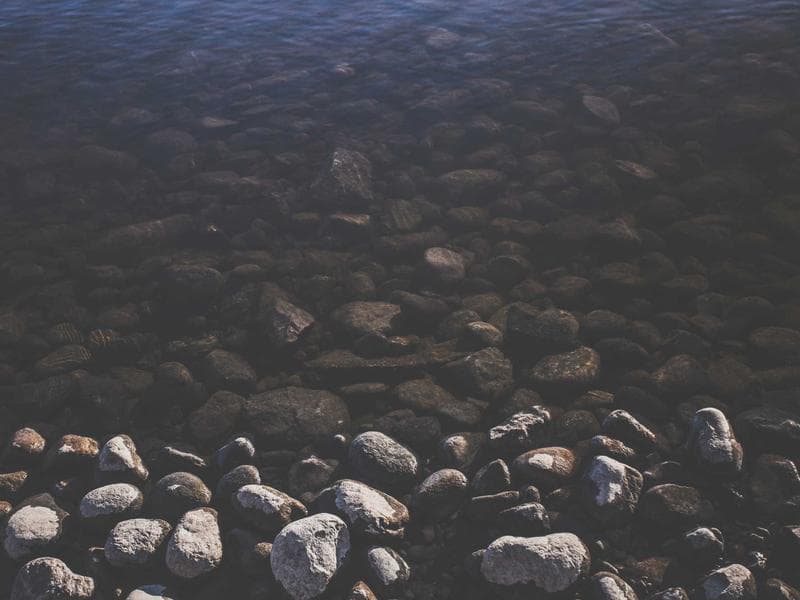 The Secret to Business for Maximum Impact (Vol. 9)