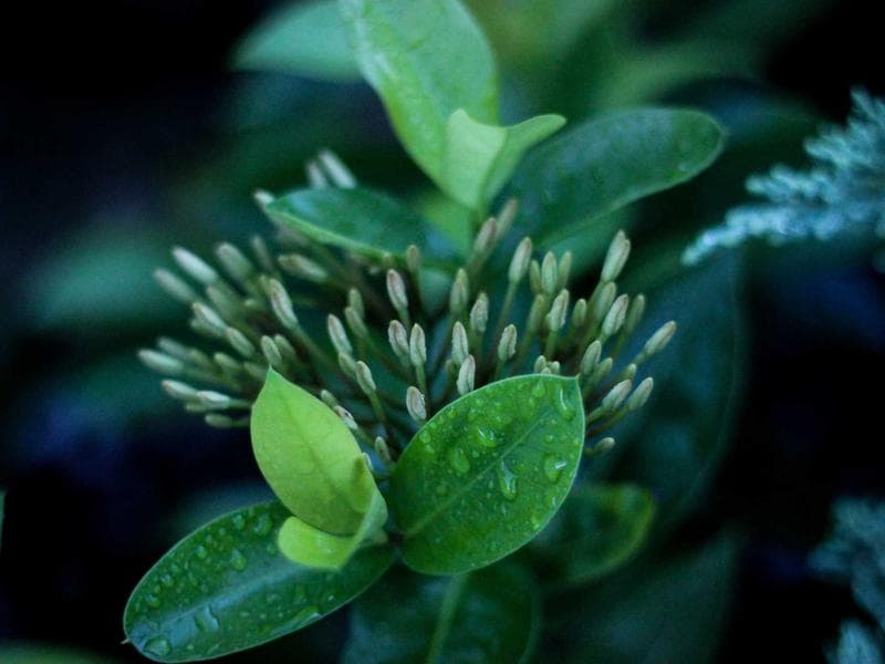 The State of CSS in 2026