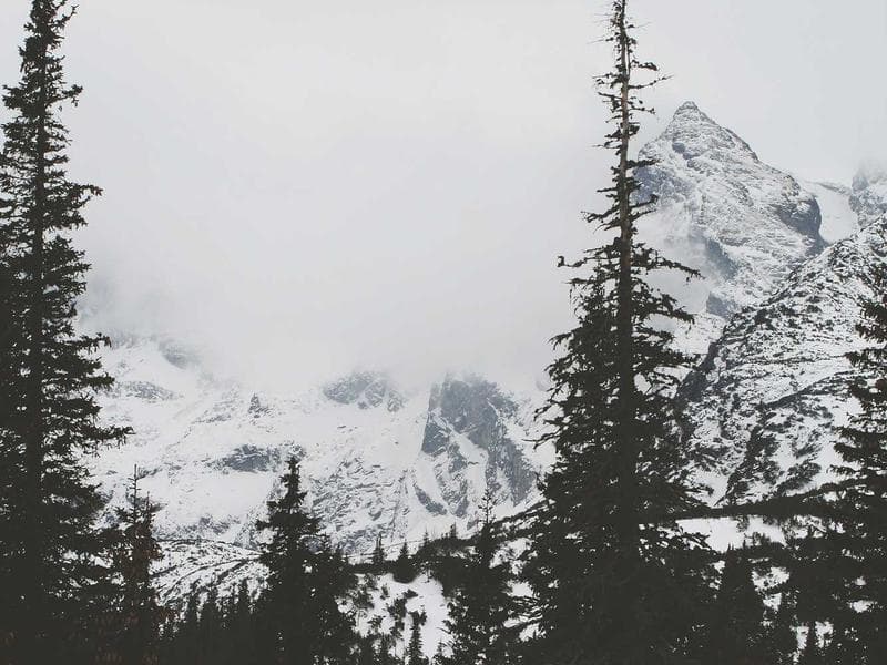 The Ultimate Guide to Cybersecurity for Enterprise