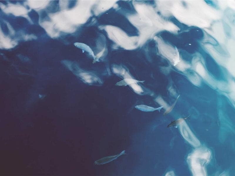 The Ultimate Guide to Data Science for Beginners