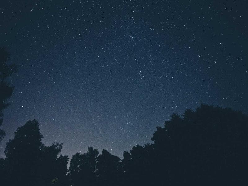 Top Motion Graphics Trends to Watch