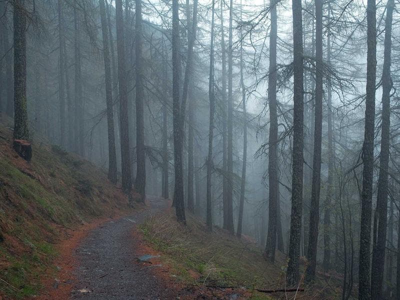 Top Rated App Developers in Durban North