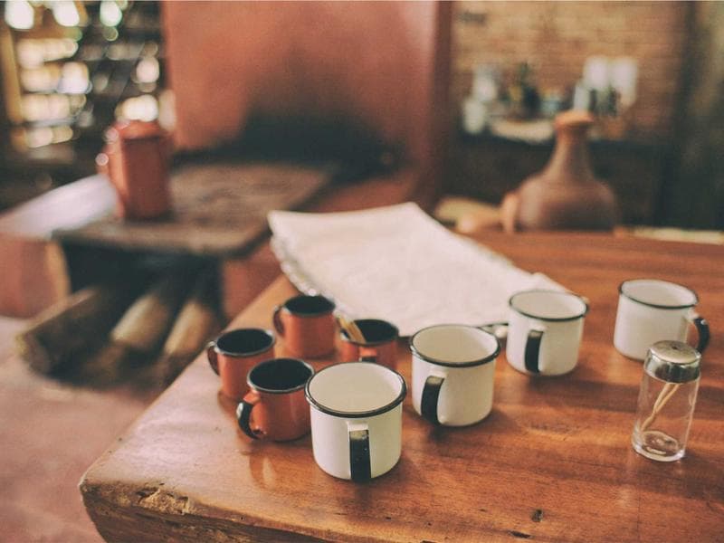 Understanding Data Science for Experts