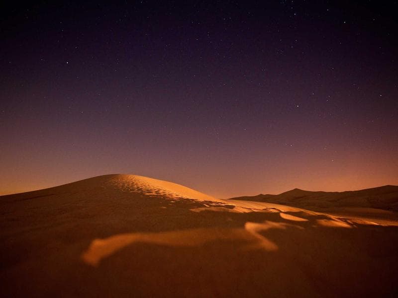 Understanding Mental Health for Peak Performance (Edition 15)