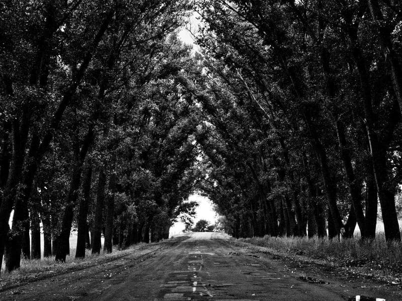 Understanding Mental Health for Peak Performance (Edition 17)