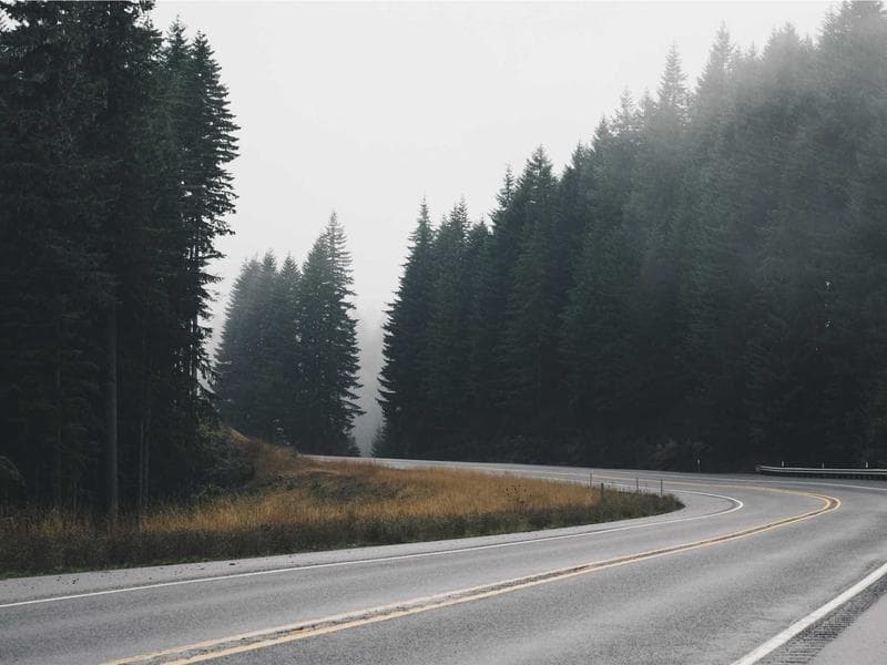 Understanding Mental Health for Peak Performance (Edition 20)