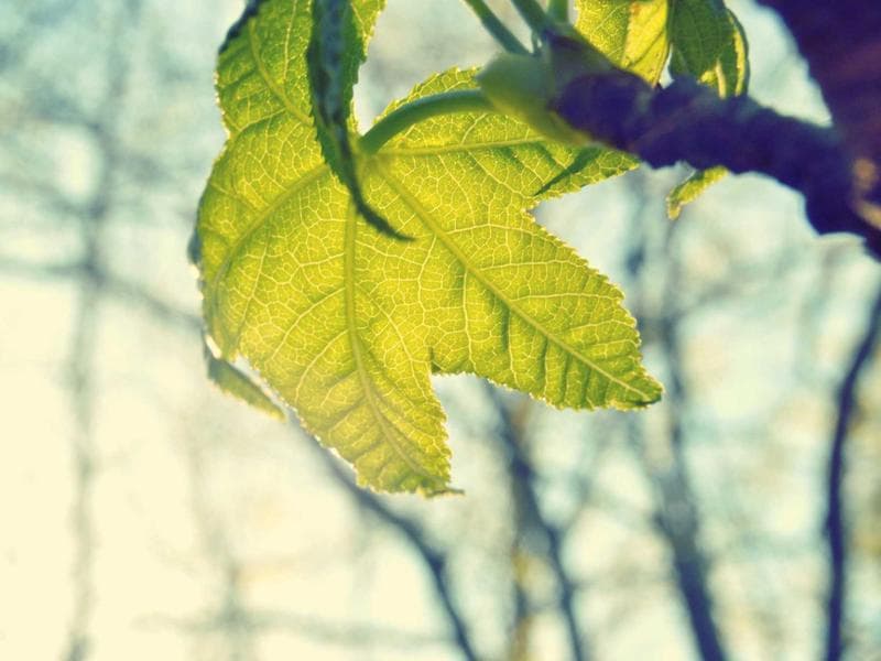 Understanding Mental Health for Peak Performance (Edition 3)