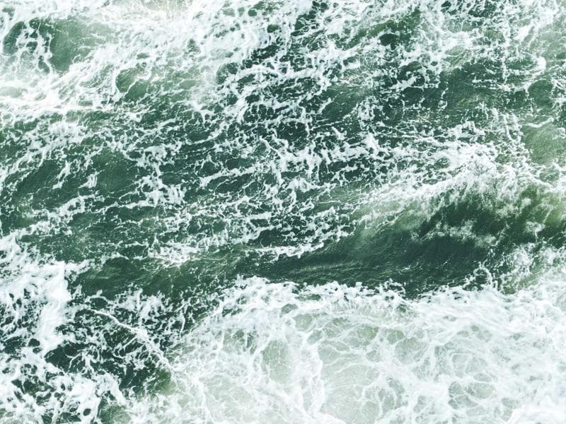 Understanding Mental Health for Peak Performance (Edition 6)