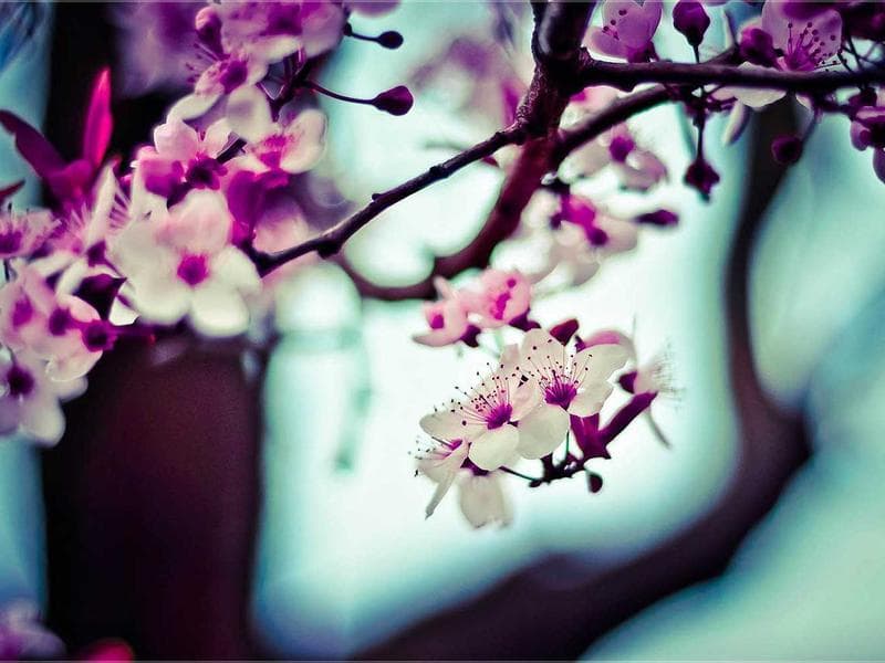 Unlocking the Potential of Marketing in a Digital First World (Part 3)