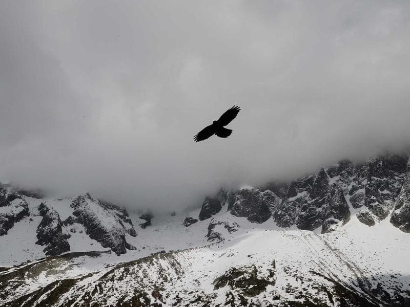 Why Brand Consistency Matters