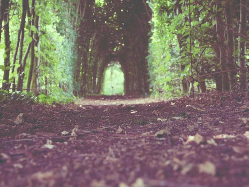 Why You Should Focus on Entrepreneurship in a Changing World (Vol. 1)