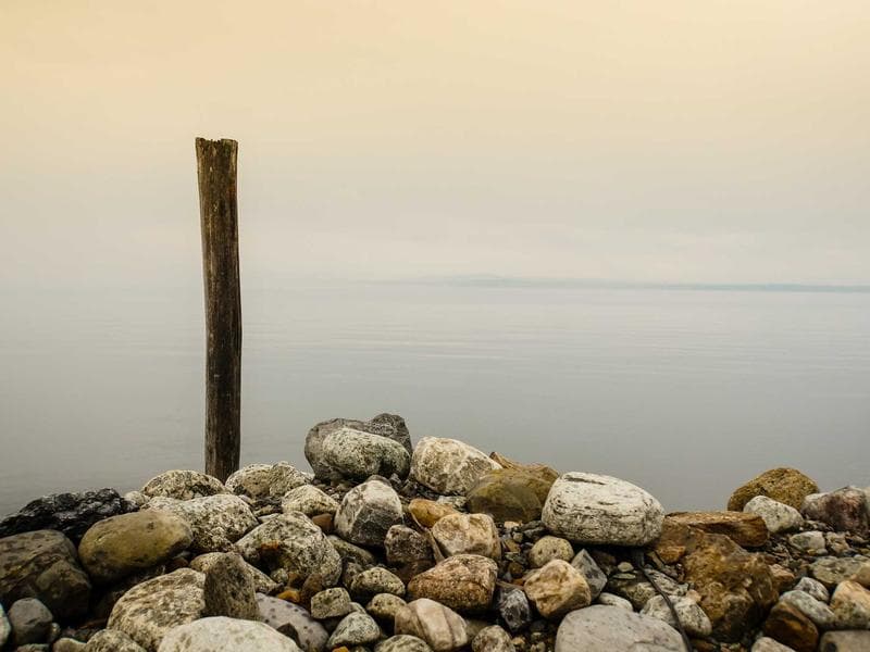 Why You Should Prioritize Climate Change : Expert Advice (Edition 14)