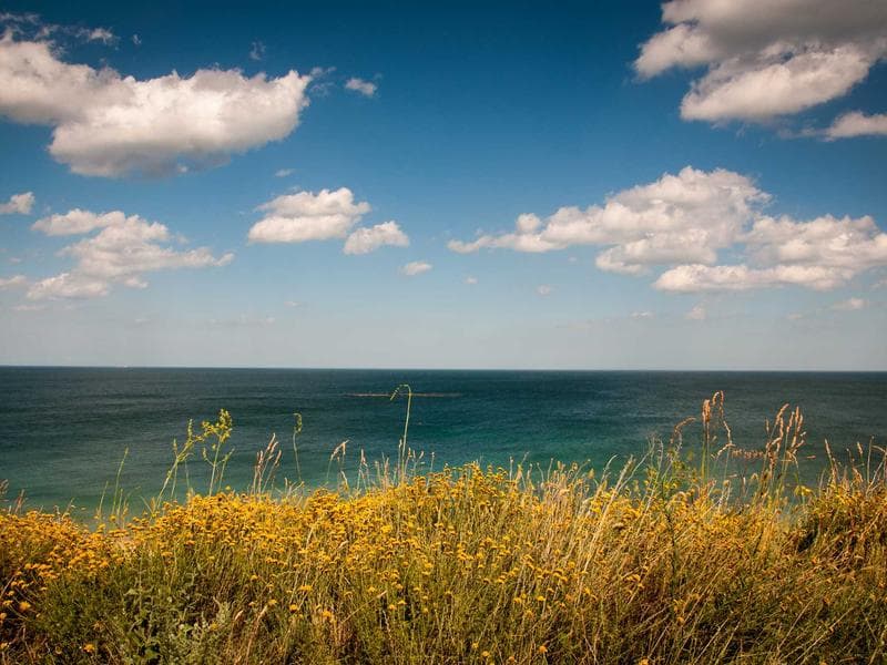 Why You Should Prioritize Climate Change : Expert Advice (Edition 2)