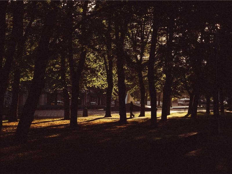 Why You Should Prioritize Climate Change : Expert Advice (Edition 3)