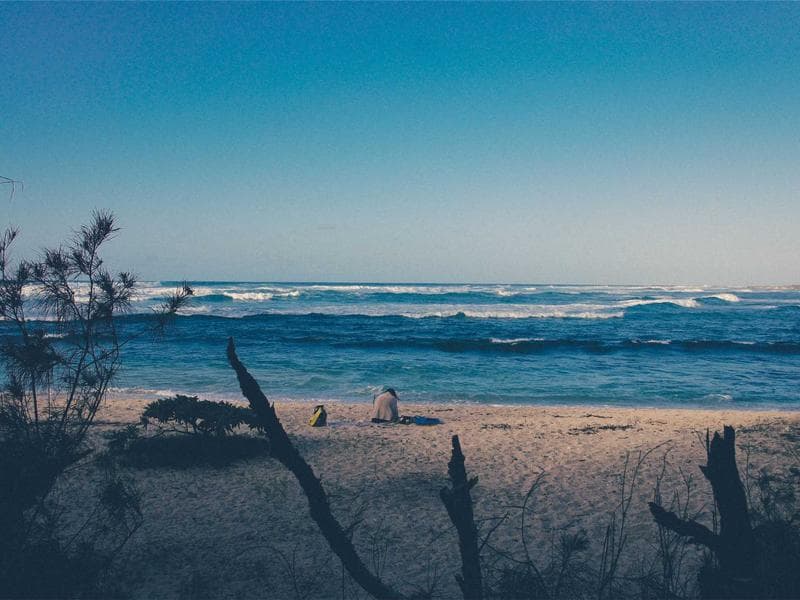 Why You Should Use Vector Icons